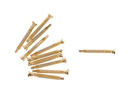 [F.TOR22] Tornillo autoroscante acero dorado (-) C:1.7 P:1.4 L:11.0 25 ud